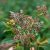 Photo Garden design