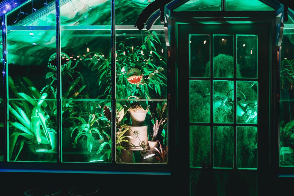 Stralende bioluminescente planten langs het tuinpad. Stralende bioluminescente planten langs het tuinpad.