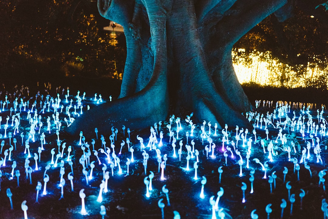 Bioluminescente lichtjes glinsteren in donkere tuin. Bioluminescente lichtjes glinsteren in donkere tuin.