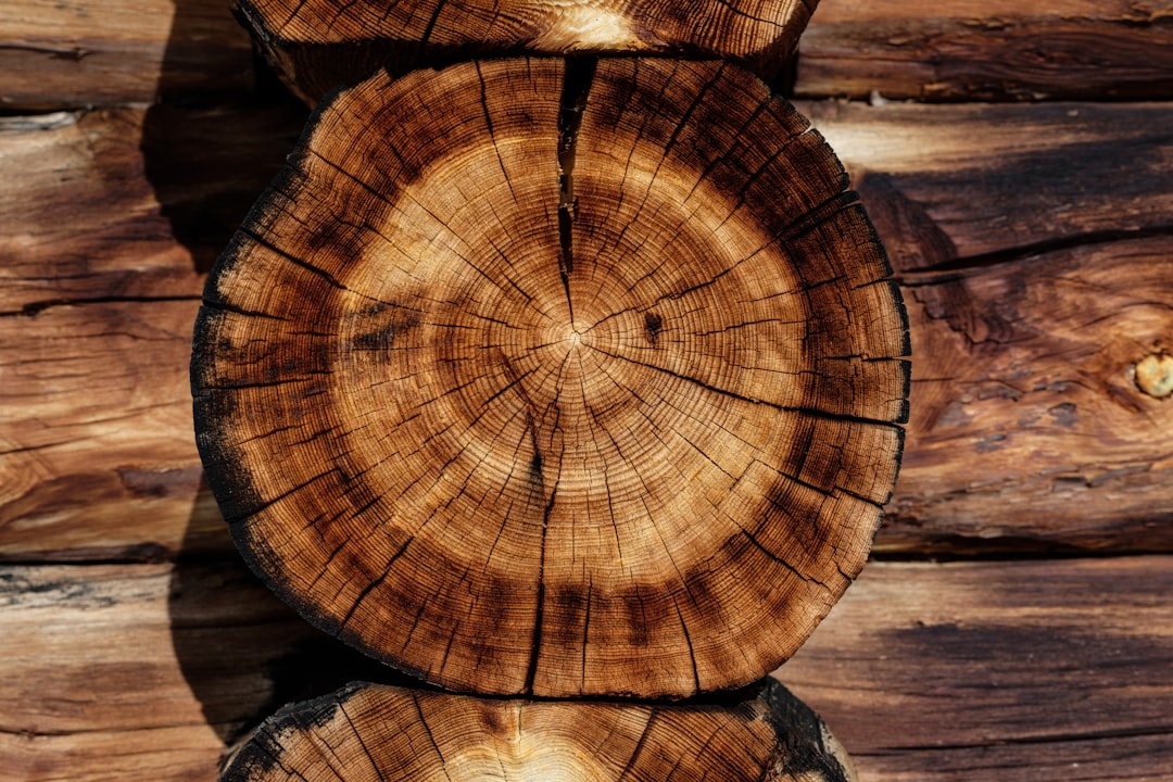 Warme houten tafel met herfstbladeren. Warme houten tafel met herfstbladeren.