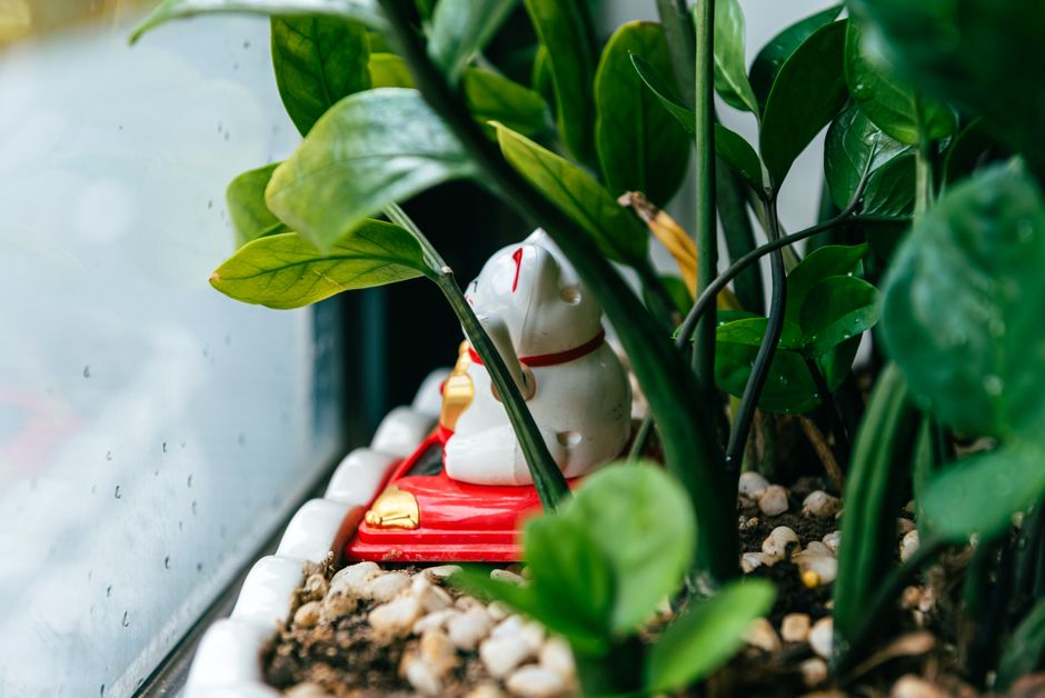 Kleine zen-tuin met witte kiezelstenen. Kleine zen-tuin met witte kiezelstenen.