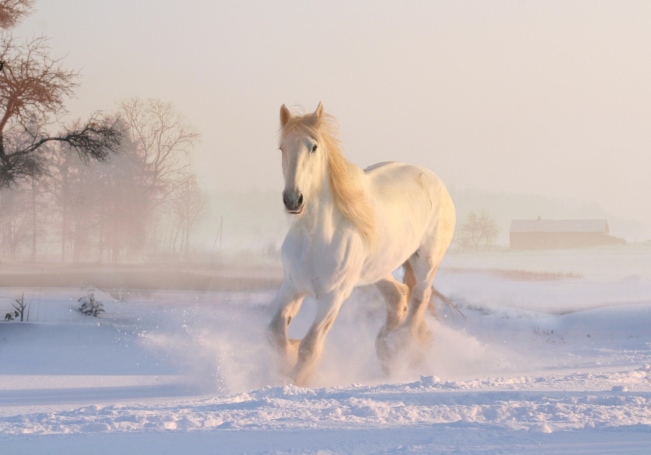 Kleurrijk paardenkunstwerk subtiel belicht aan muur.